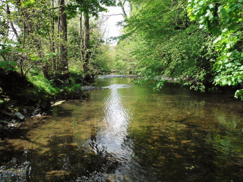 The Teme at Bucknell